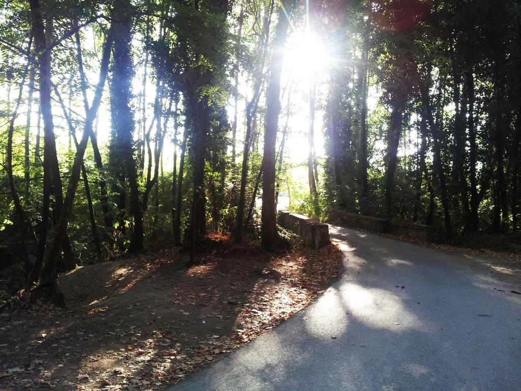 Casa Rural Can Miquel - En Pleno Bosque Y Cerca De La Playa - Increibles Rutas Btt Santa Coloma De Farners Esterno foto