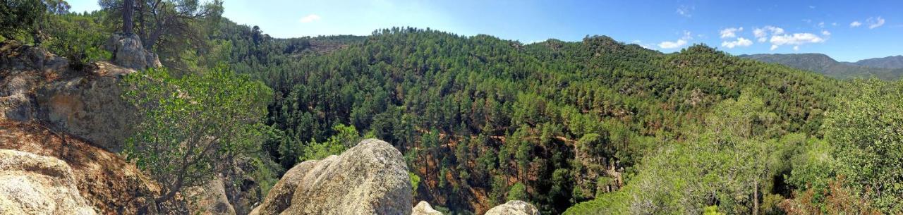 Casa Rural Can Miquel - En Pleno Bosque Y Cerca De La Playa - Increibles Rutas Btt Santa Coloma De Farners Esterno foto