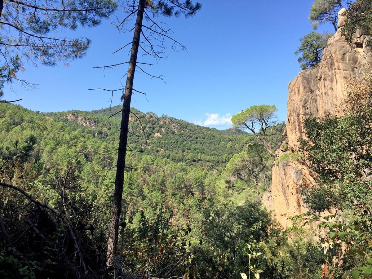 Casa Rural Can Miquel - En Pleno Bosque Y Cerca De La Playa - Increibles Rutas Btt Santa Coloma De Farners Esterno foto
