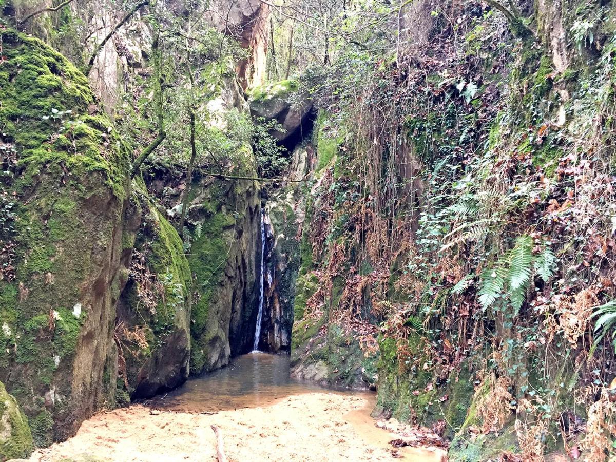 Casa Rural Can Miquel - En Pleno Bosque Y Cerca De La Playa - Increibles Rutas Btt Santa Coloma De Farners Esterno foto